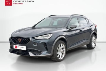 Formentor TDI 4Drive, Kamera, Asystenci, Ambiente, Navi